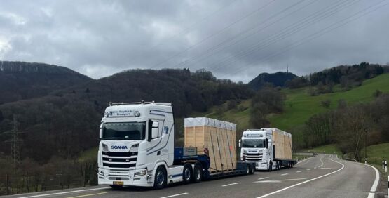 2x scania 1.jpg